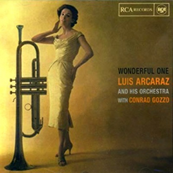 Wonderful One