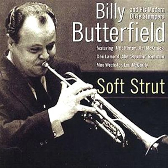 Soft Strut