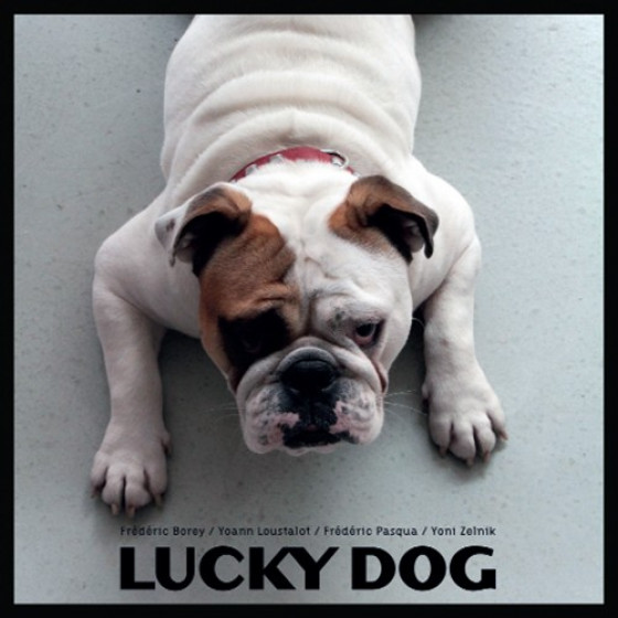 Lucky Dog Lucky Dog